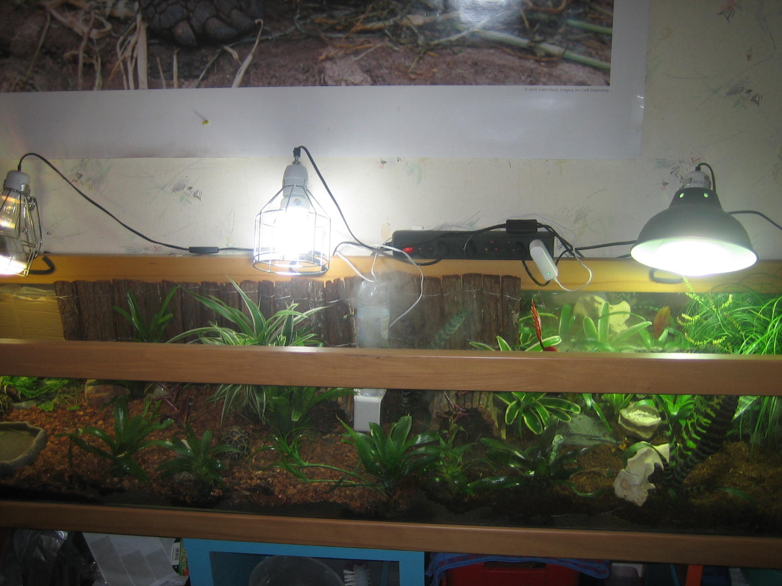 Terrariumbeispiel