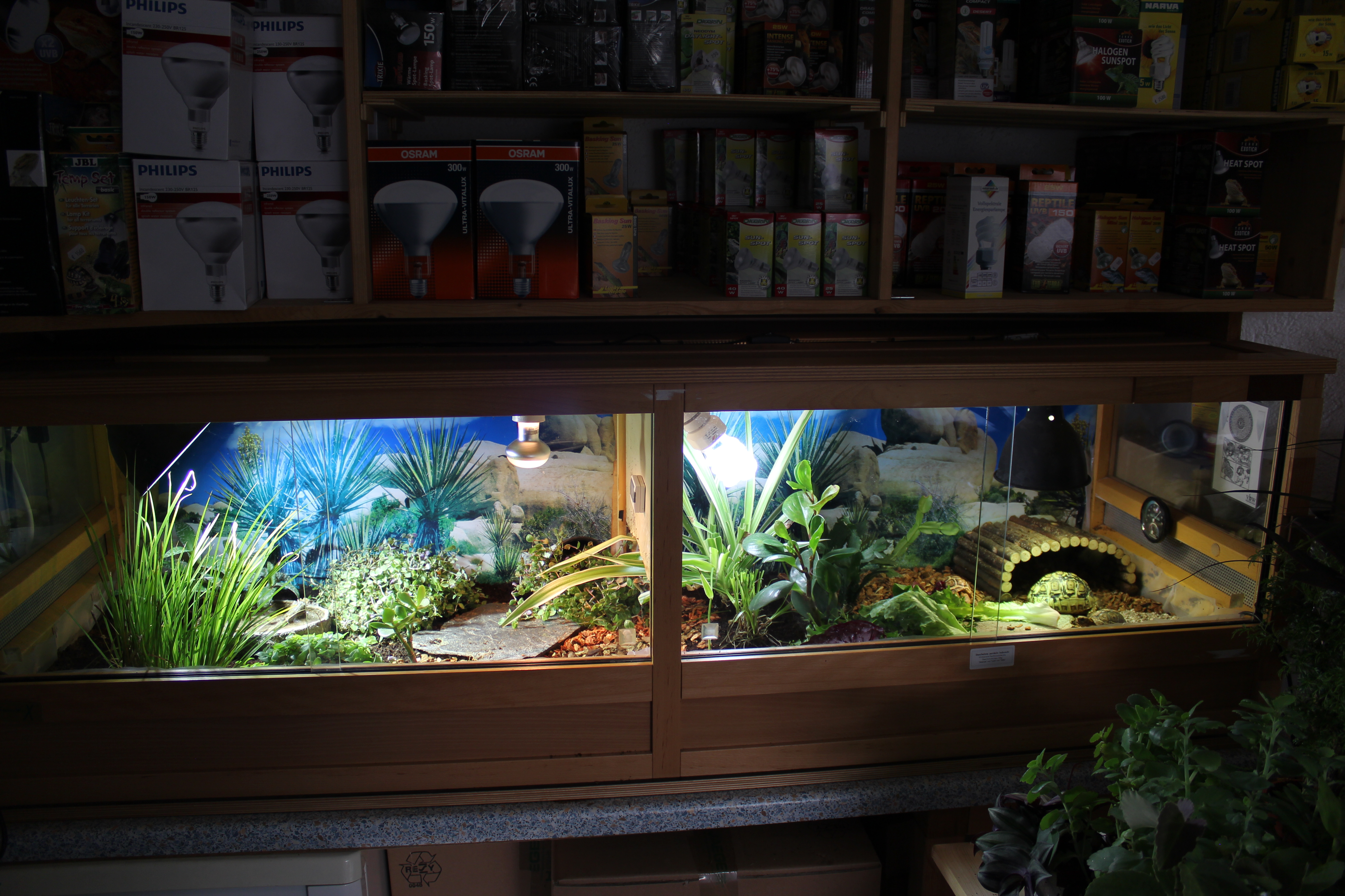 Sonderanfertigung Terrarium von Terraworx 180x50x50cm